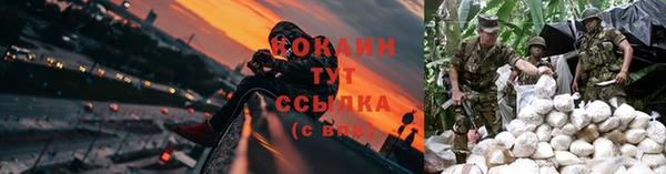 эйфоретик Медногорск