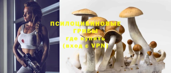 прущая мука Абаза