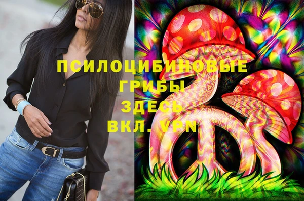 прущая мука Абаза