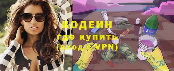хмурый Мегион