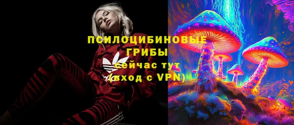 хмурый Мегион