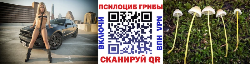 это телеграм Ряжск Галлюциногенные грибы Cubensis